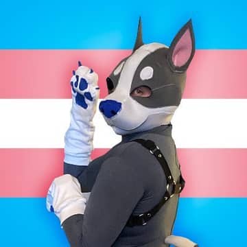 DonutPupper OnlyFans — image 1 of 2