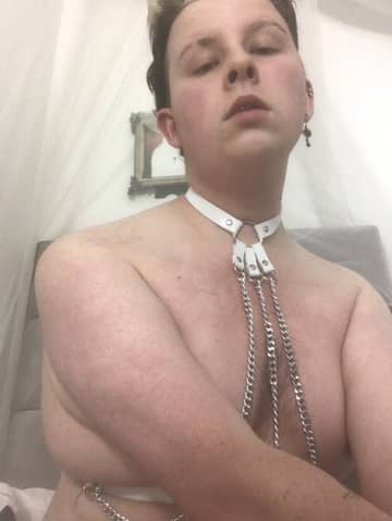 digsopup OnlyFans — image 1 of 2