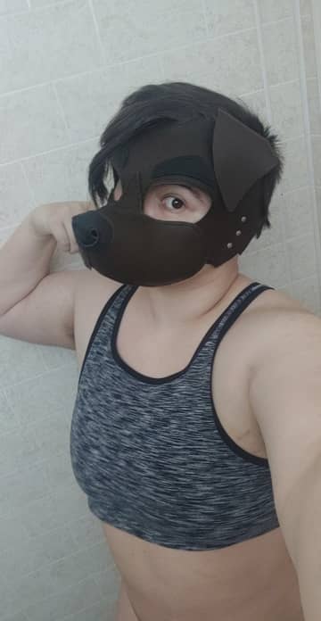 Some times a dog OnlyFans — image 1 of 2