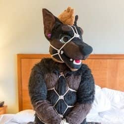 Daddy Dober ฅ^•ﻌ•^ฅ OnlyFans — image 1 of 2