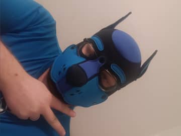 BlueSexyPup OnlyFans — image 1 of 2