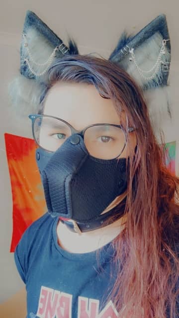 Bimbo Pup OnlyFans — image 1 of 2